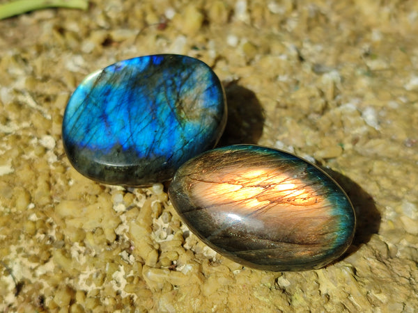 Polished Labradorite Palm Stones x 27 From Tulear, Madagascar