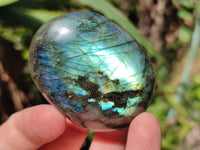 Polished Labradorite Palm Stones x 27 From Tulear, Madagascar