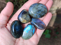 Polished Labradorite Palm Stones x 27 From Tulear, Madagascar