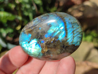 Polished Labradorite Palm Stones x 27 From Tulear, Madagascar