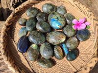 Polished Labradorite Palm Stones x 27 From Tulear, Madagascar