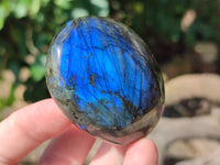 Polished Labradorite Palm Stones x 27 From Tulear, Madagascar