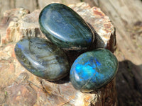 Polished Labradorite Palm Stones x 27 From Tulear, Madagascar