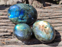 Polished Labradorite Palm Stones x 27 From Tulear, Madagascar