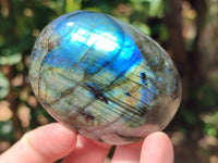 Polished Labradorite Palm Stones x 27 From Tulear, Madagascar