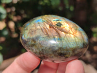 Polished Labradorite Palm Stones x 27 From Tulear, Madagascar