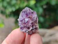 Natural Amethyst Spirit Quartz Crystals x 70 From Boekenhouthoek, South Africa