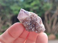 Natural Amethyst Spirit Quartz Crystals x 70 From Boekenhouthoek, South Africa