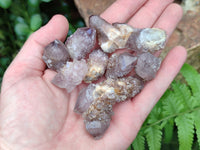 Natural Amethyst Spirit Quartz Crystals x 70 From Boekenhouthoek, South Africa