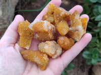 Natural Golden Solar Spirit Quartz Crystals x 20 From Boekenhouthoek, South Africa