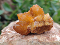 Natural Golden Solar Spirit Quartz Crystals x 20 From Boekenhouthoek, South Africa