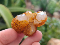 Natural Golden Solar Spirit Quartz Crystals x 20 From Boekenhouthoek, South Africa