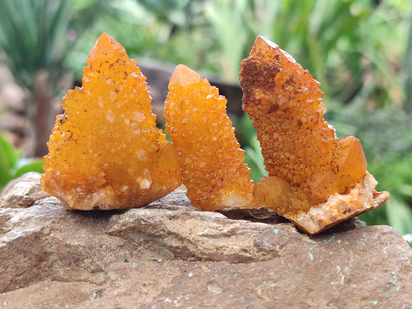 Natural Golden Solar Spirit Quartz Crystals x 20 From Boekenhouthoek, South Africa