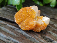 Natural Golden Solar Spirit Quartz Crystals x 20 From Boekenhouthoek, South Africa