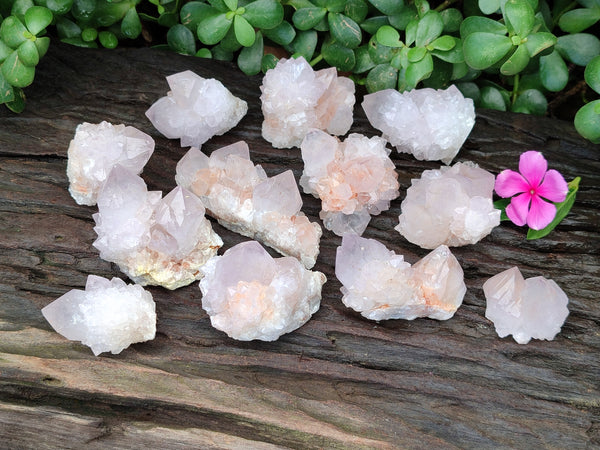 Natural Amethyst Cactus Spirit Quartz Clusters x 12 From South Africa