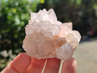 Natural Amethyst Cactus Spirit Quartz Clusters x 12 From South Africa