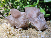 Natural Smokey Phantom Quartz Clusters x 12 From Luena, Congo