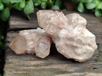 Natural Smokey Phantom Quartz Clusters x 12 From Luena, Congo