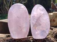 Polished Rose Quartz Standing Free Forms x 6 From Ambatondrazaka, Madagascar