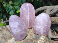 Polished Rose Quartz Standing Free Forms x 6 From Ambatondrazaka, Madagascar