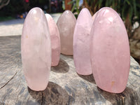 Polished Rose Quartz Standing Free Forms x 6 From Ambatondrazaka, Madagascar