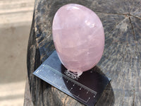 Polished Rose Quartz Standing Free Forms x 6 From Ambatondrazaka, Madagascar