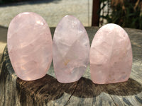 Polished Rose Quartz Standing Free Forms x 6 From Ambatondrazaka, Madagascar