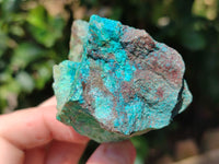 Natural Shattuckite with Chrysocolla and Malachite x 9 From Kaokoveld, Namibia