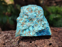 Natural Shattuckite with Chrysocolla and Malachite x 9 From Kaokoveld, Namibia