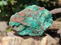 Natural Shattuckite with Chrysocolla and Malachite x 9 From Kaokoveld, Namibia