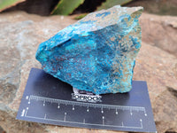 Natural Shattuckite with Chrysocolla and Malachite x 9 From Kaokoveld, Namibia