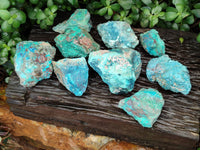 Natural Shattuckite with Chrysocolla and Malachite x 9 From Kaokoveld, Namibia