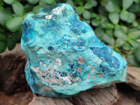 Natural Shattuckite with Chrysocolla and Malachite x 9 From Kaokoveld, Namibia