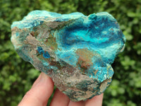 Natural Shattuckite with Chrysocolla and Malachite x 9 From Kaokoveld, Namibia