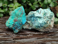 Natural Shattuckite with Chrysocolla and Malachite x 9 From Kaokoveld, Namibia