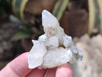 Natural Drusy Quartz Coated Calcite Pseudomorph Specimens x 35 From Alberts Mountain, Lesotho