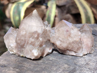 Natural Smokey Phantom Quartz Clusters x 12 From Luena, Congo