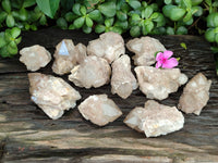 Natural Smokey Phantom Quartz Clusters x 12 From Luena, Congo