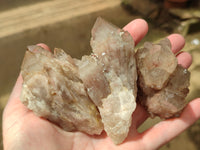 Natural Smokey Phantom Quartz Clusters x 12 From Luena, Congo