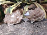 Natural Smokey Phantom Quartz Clusters x 12 From Luena, Congo