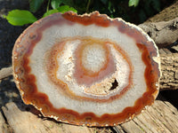 Polished Banded Agate Gemstone Slices x 4 From Madagascar