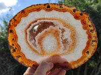 Polished Banded Agate Gemstone Slices x 4 From Madagascar