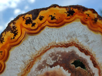 Polished Banded Agate Gemstone Slices x 4 From Madagascar