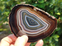 Polished Banded Agate Gemstone Slices x 4 From Madagascar