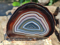 Polished Banded Agate Gemstone Slices x 4 From Madagascar