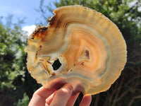 Polished Banded Agate Gemstone Slices x 4 From Madagascar