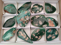 Polished Emerald Mtorolite Free Forms x 12 From Zimbabwe