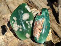 Polished Emerald Mtorolite Free Forms x 12 From Zimbabwe