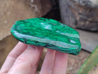 Polished Flower Banded Malachite Free Forms x 6 From Congo