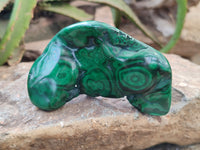 Polished Flower Banded Malachite Free Forms x 6 From Congo